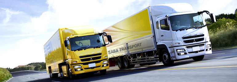 Saba Shipping International LLC